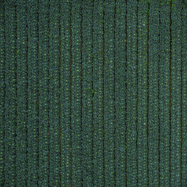 Woven Area Rug - Forest Green