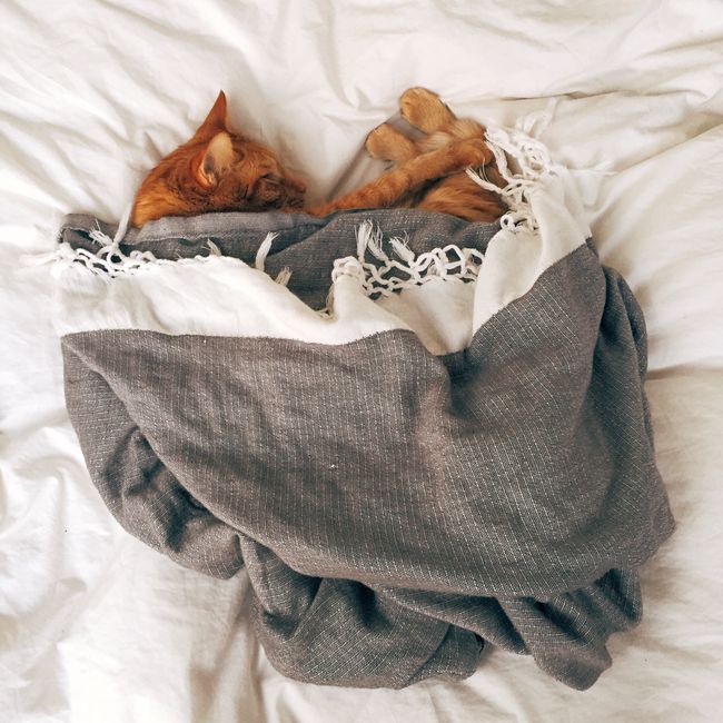 Rustic Duvet Cover
