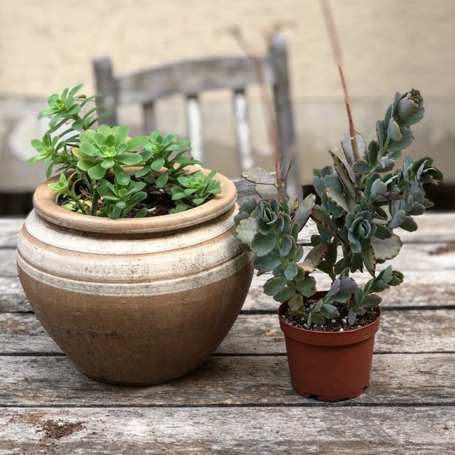 Quilted Wool Dress