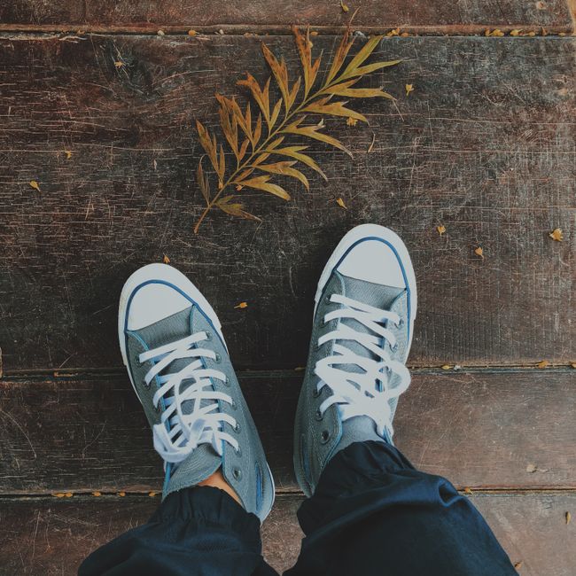 Tailored Cotton Trainers