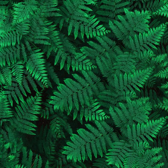 Modern Area Rug