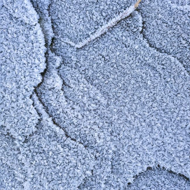 Pleated Oak Area Rug - Slate Blue