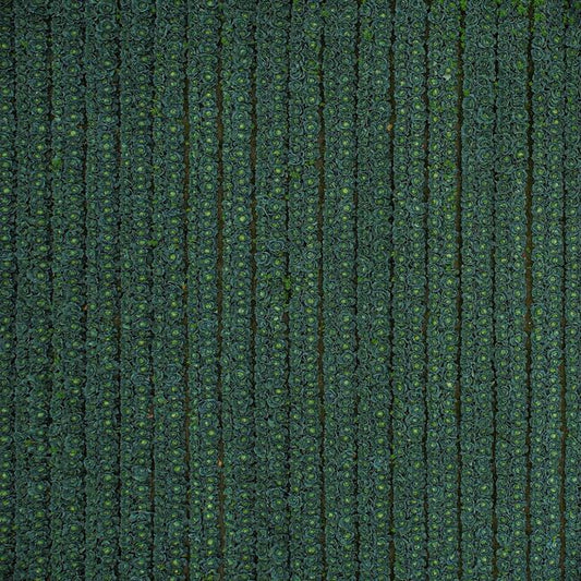 Hand-Dyed Area Rug