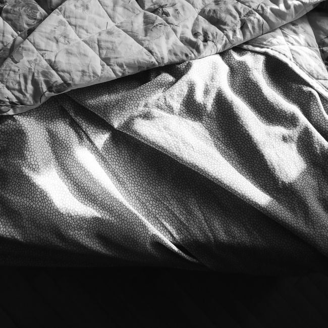 Everyday Cotton Duvet Cover